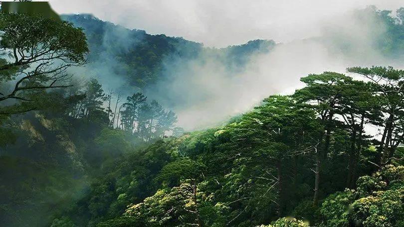 刺客信条：大革命